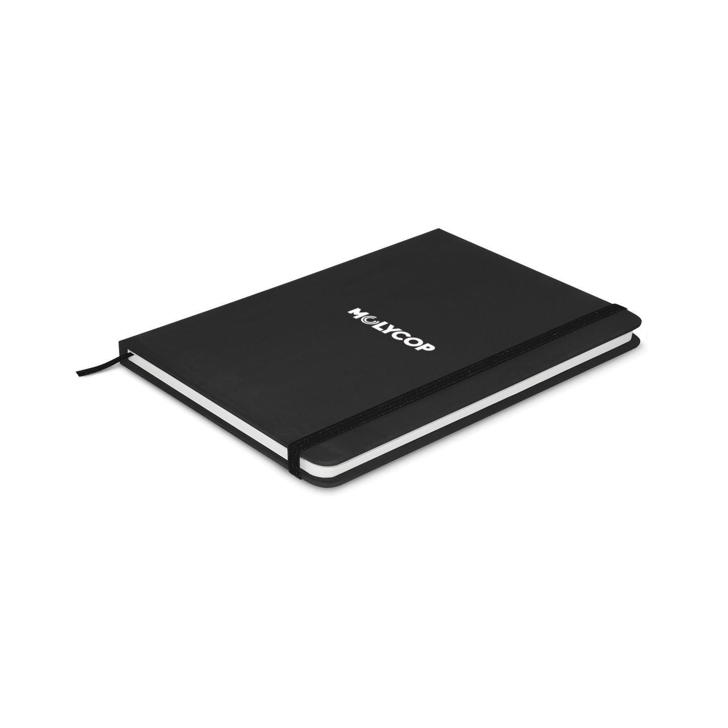 106099 - Omega Notebook