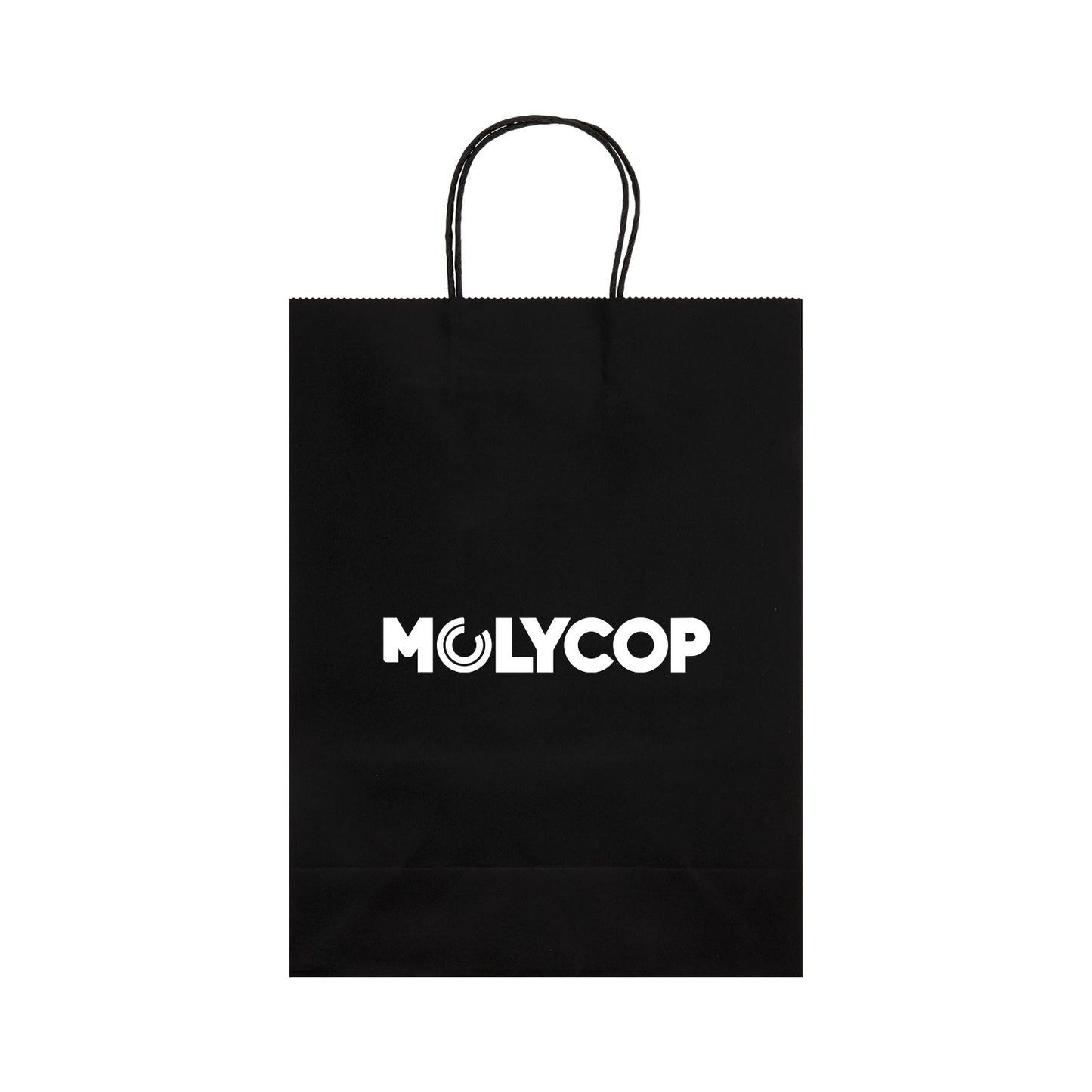 Express Paper Bag Large LL549