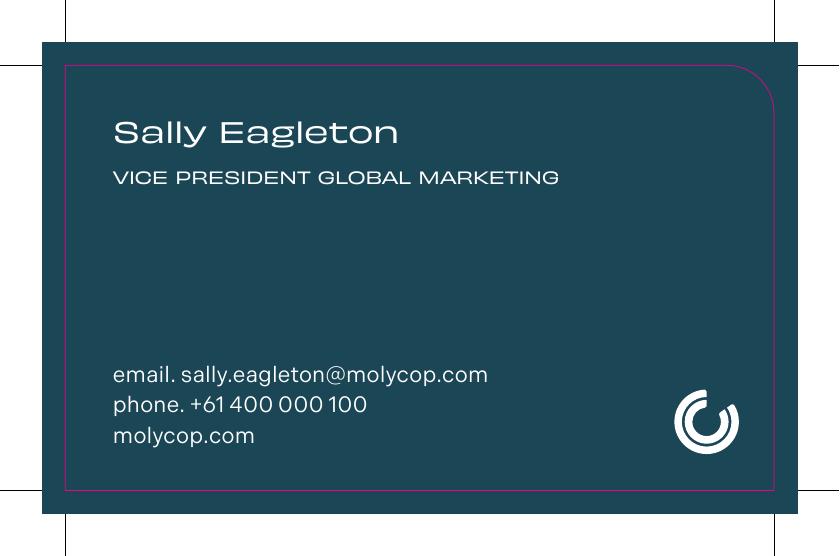 116459 - Full Colour Business Cards Blue