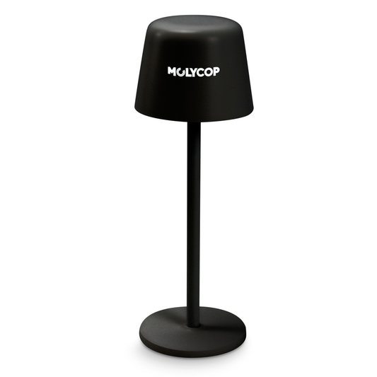 129643 - Ember Rechargeable Table Lamp