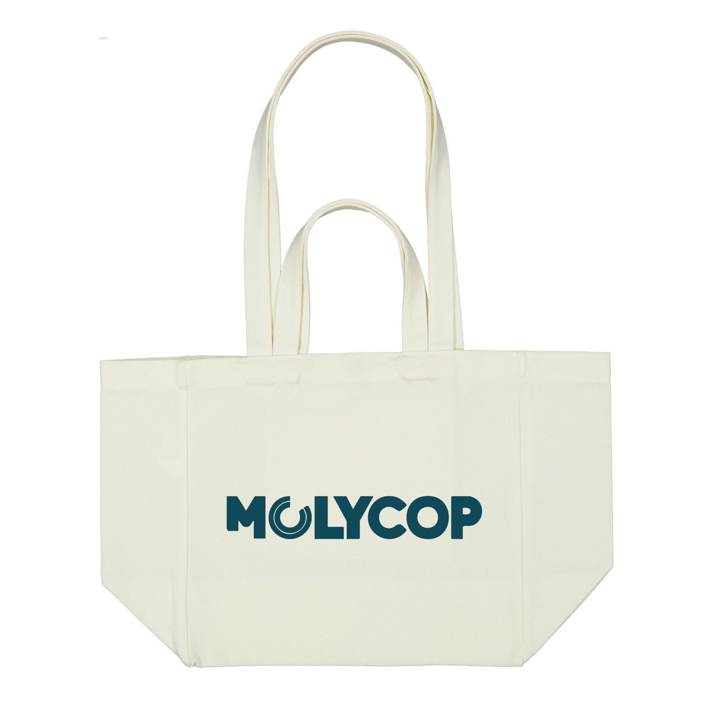 Splendid Canvas Bag LL2363