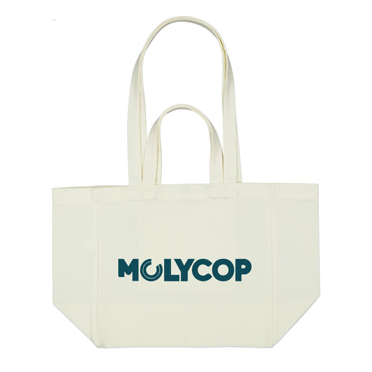 Splendid Canvas Bag LL2363