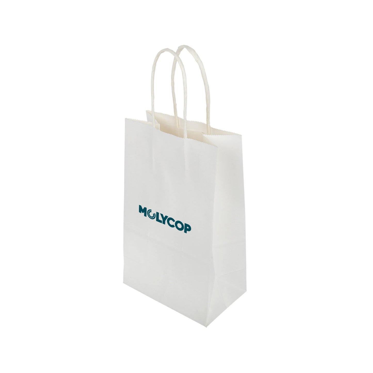 Express Paper Bag Small LL547