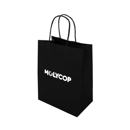 Express Paper Bag Medium LL548