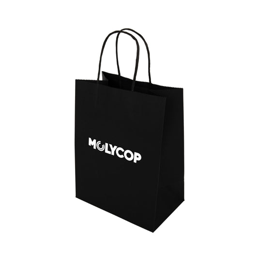 Express Paper Bag Medium LL548