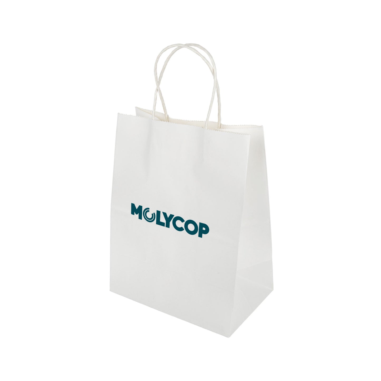 Express Paper Bag Medium LL548