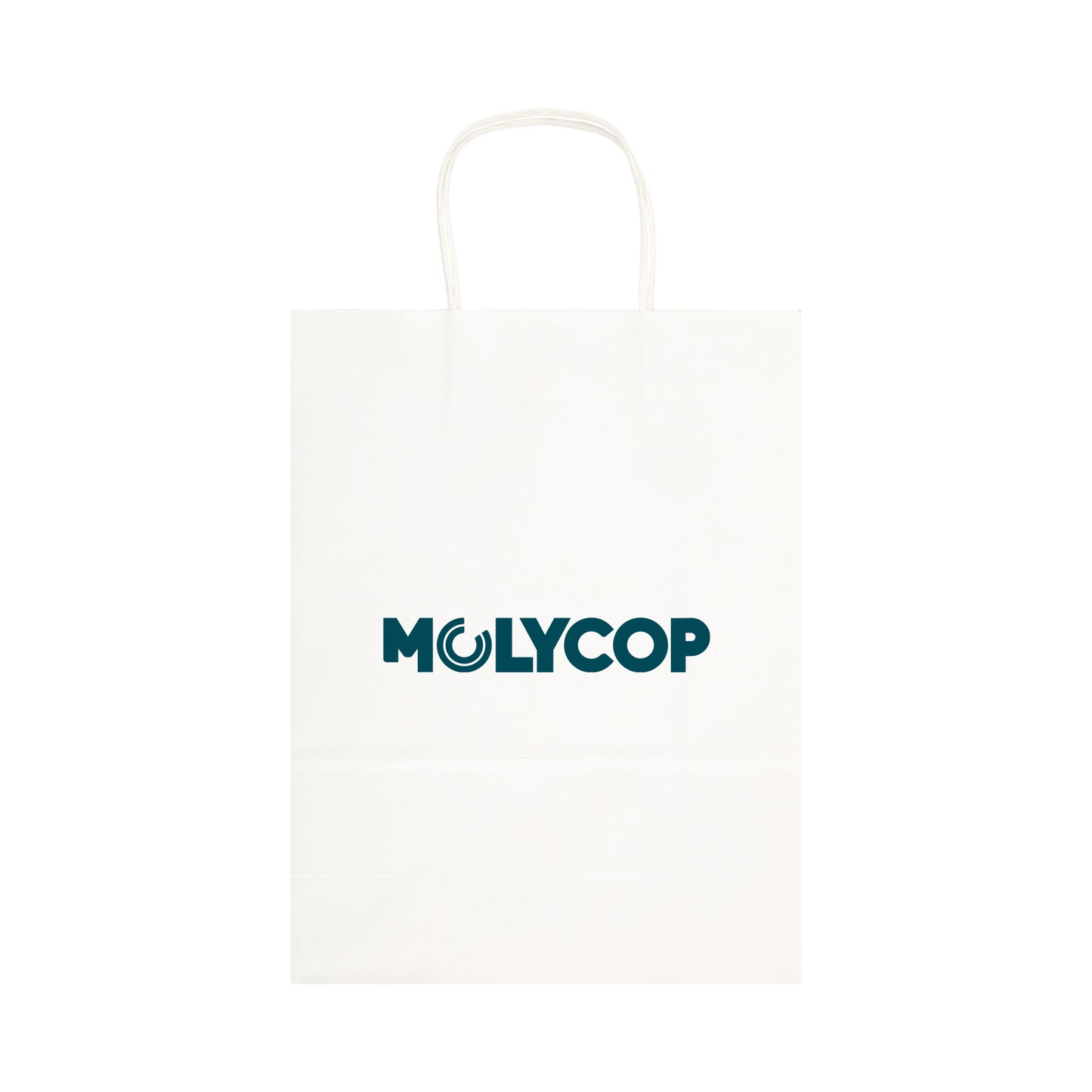 Express Paper Bag Large LL549