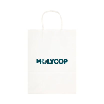 Express Paper Bag Large LL549