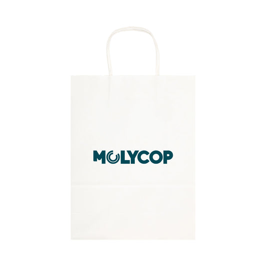 Express Paper Bag Large LL549