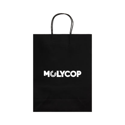 Express Paper Bag Large LL549