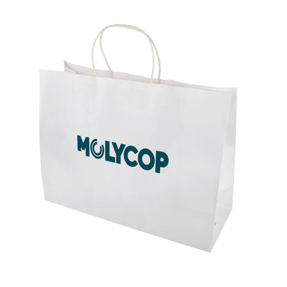 Express Paper Bag Extra Large LL562