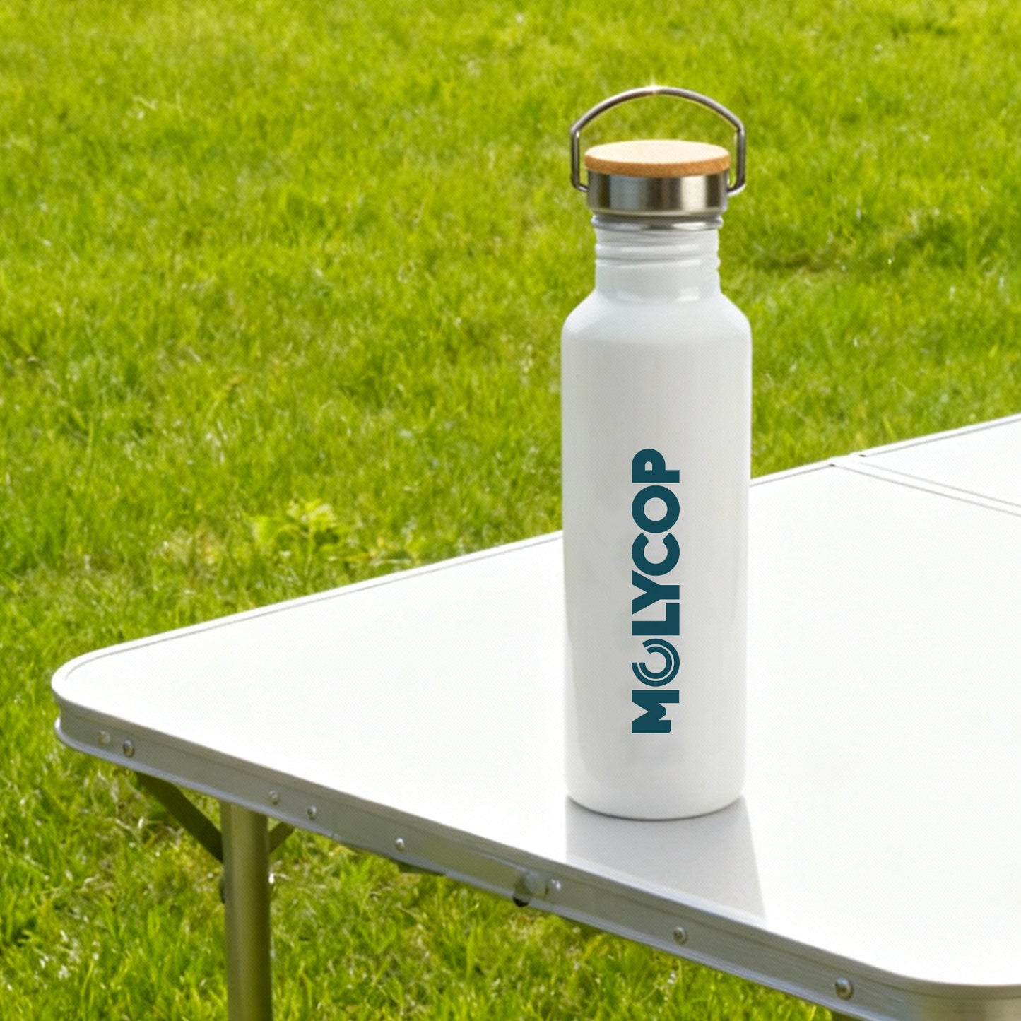 Chat Recycled Aluminium Bottle LL6991